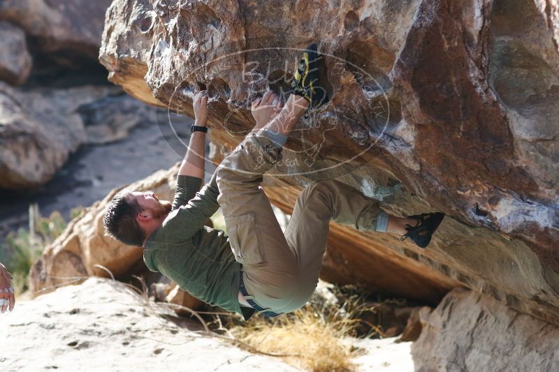 

Filename: SRM_20170103_1516410.jpg
Aperture: f/2.8
Shutter Speed: 1/800
Body: Canon EOS-1D Mark II
Lens: Canon EF 85mm f/1.2 L II