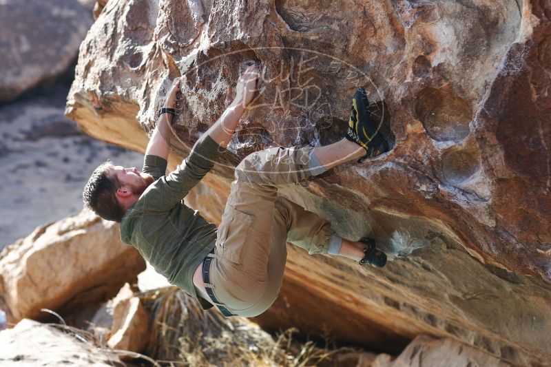 

Filename: SRM_20170103_1516500.jpg
Aperture: f/2.8
Shutter Speed: 1/640
Body: Canon EOS-1D Mark II
Lens: Canon EF 85mm f/1.2 L II