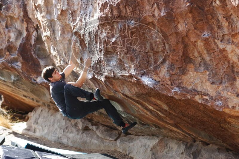 

Filename: SRM_20170103_1517560.jpg
Aperture: f/2.8
Shutter Speed: 1/640
Body: Canon EOS-1D Mark II
Lens: Canon EF 85mm f/1.2 L II