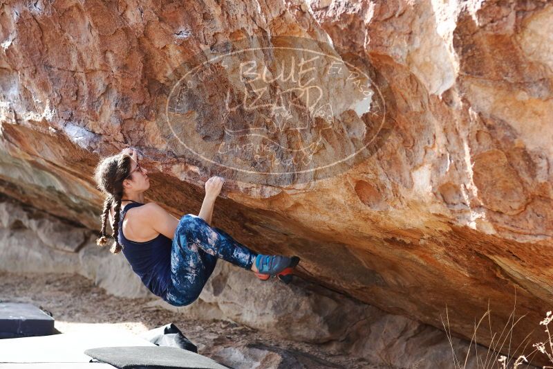 

Filename: SRM_20170103_1520260.jpg
Aperture: f/2.8
Shutter Speed: 1/500
Body: Canon EOS-1D Mark II
Lens: Canon EF 85mm f/1.2 L II