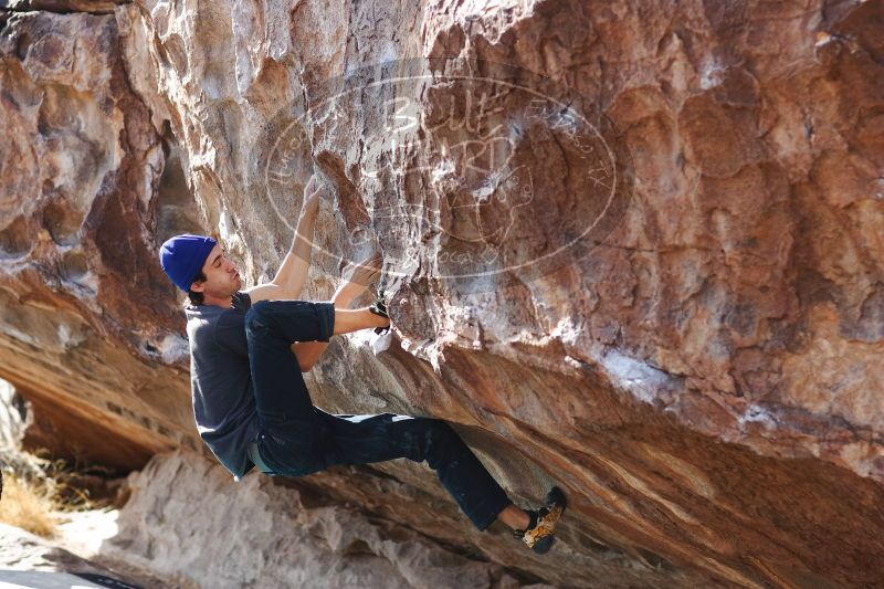 

Filename: SRM_20170103_1526000.jpg
Aperture: f/2.8
Shutter Speed: 1/640
Body: Canon EOS-1D Mark II
Lens: Canon EF 85mm f/1.2 L II