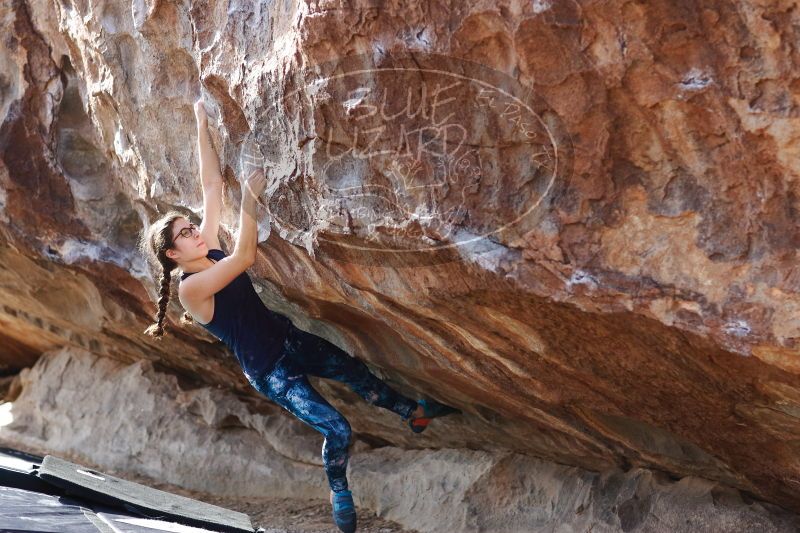 

Filename: SRM_20170103_1526350.jpg
Aperture: f/2.8
Shutter Speed: 1/640
Body: Canon EOS-1D Mark II
Lens: Canon EF 85mm f/1.2 L II