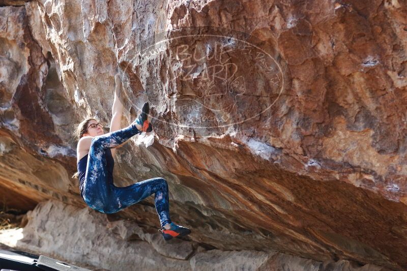 

Filename: SRM_20170103_1526360.jpg
Aperture: f/2.8
Shutter Speed: 1/800
Body: Canon EOS-1D Mark II
Lens: Canon EF 85mm f/1.2 L II