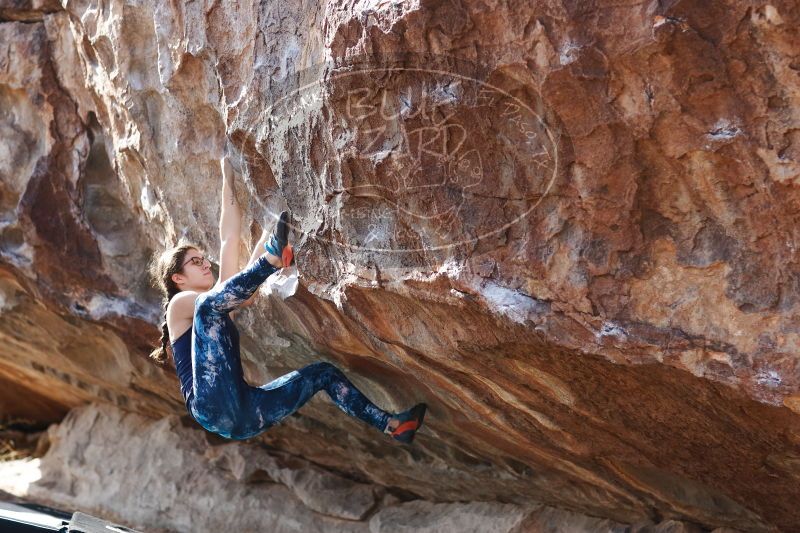 

Filename: SRM_20170103_1526370.jpg
Aperture: f/2.8
Shutter Speed: 1/640
Body: Canon EOS-1D Mark II
Lens: Canon EF 85mm f/1.2 L II