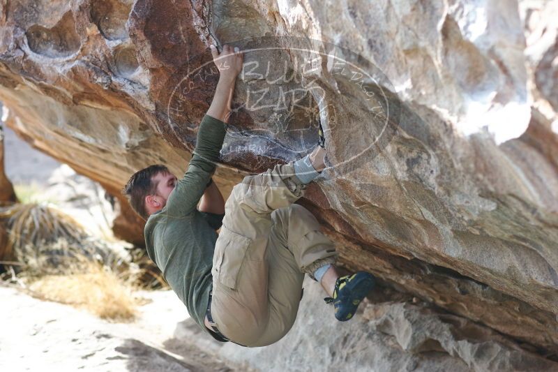 

Filename: SRM_20170103_1527002.jpg
Aperture: f/2.8
Shutter Speed: 1/500
Body: Canon EOS-1D Mark II
Lens: Canon EF 85mm f/1.2 L II