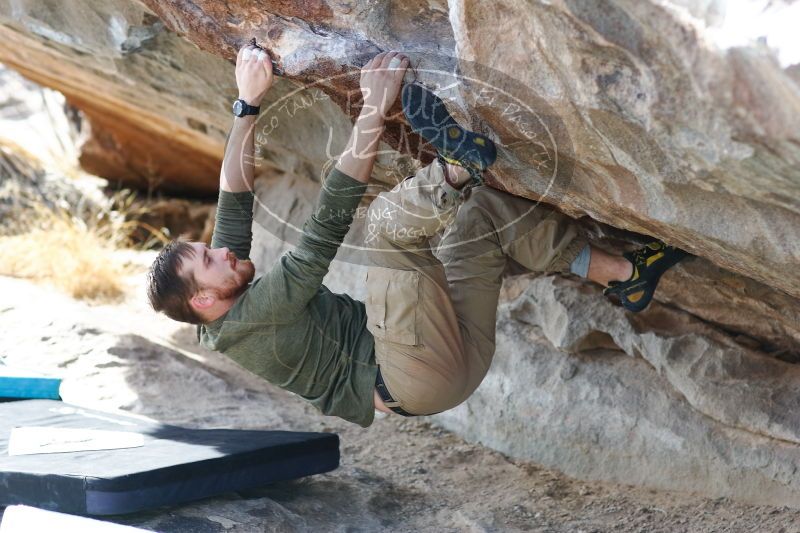 

Filename: SRM_20170103_1528570.jpg
Aperture: f/2.8
Shutter Speed: 1/400
Body: Canon EOS-1D Mark II
Lens: Canon EF 85mm f/1.2 L II