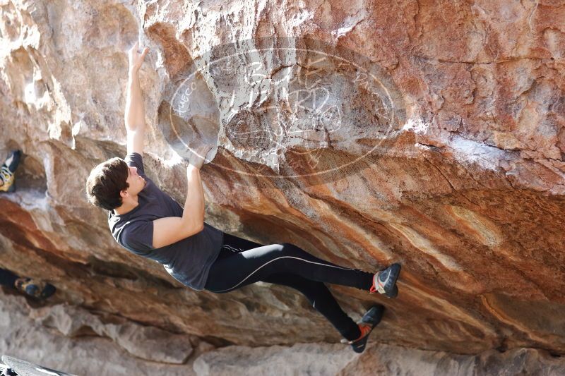 

Filename: SRM_20170103_1529310.jpg
Aperture: f/2.8
Shutter Speed: 1/400
Body: Canon EOS-1D Mark II
Lens: Canon EF 85mm f/1.2 L II