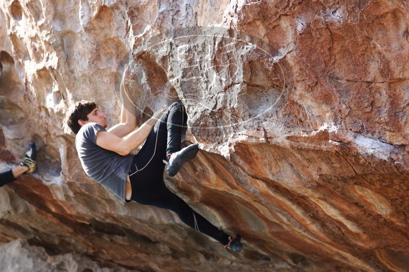 

Filename: SRM_20170103_1529370.jpg
Aperture: f/2.8
Shutter Speed: 1/500
Body: Canon EOS-1D Mark II
Lens: Canon EF 85mm f/1.2 L II