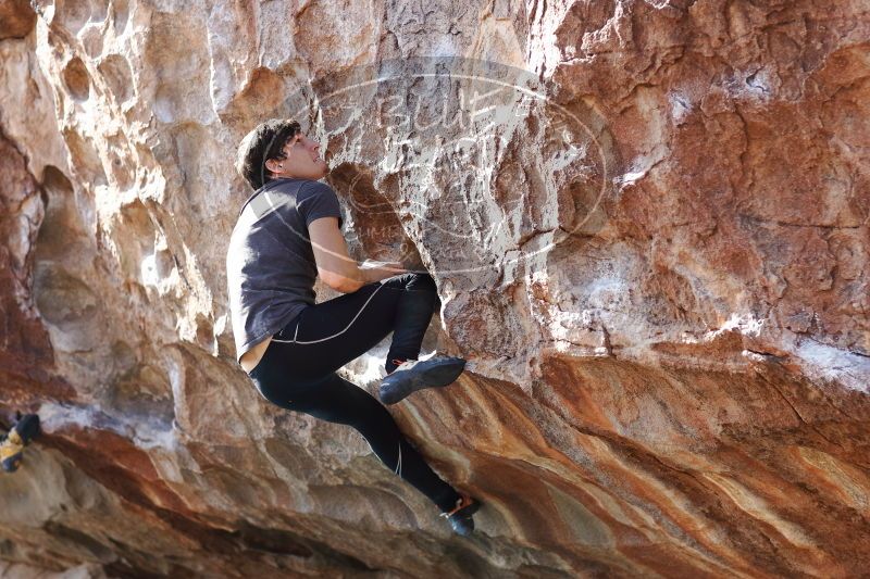 

Filename: SRM_20170103_1529400.jpg
Aperture: f/2.8
Shutter Speed: 1/500
Body: Canon EOS-1D Mark II
Lens: Canon EF 85mm f/1.2 L II