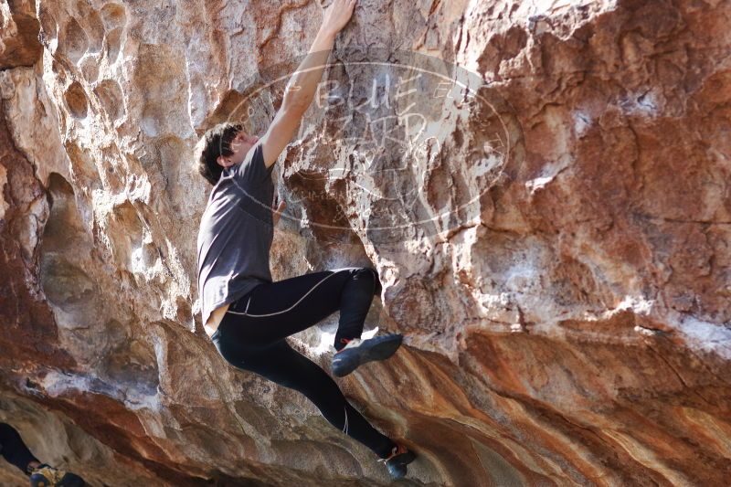 

Filename: SRM_20170103_1529411.jpg
Aperture: f/2.8
Shutter Speed: 1/640
Body: Canon EOS-1D Mark II
Lens: Canon EF 85mm f/1.2 L II