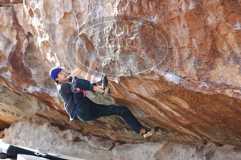 

Filename: SRM_20170103_1530480.jpg
Aperture: f/3.5
Shutter Speed: 1/320
Body: Canon EOS-1D Mark II
Lens: Canon EF 85mm f/1.2 L II