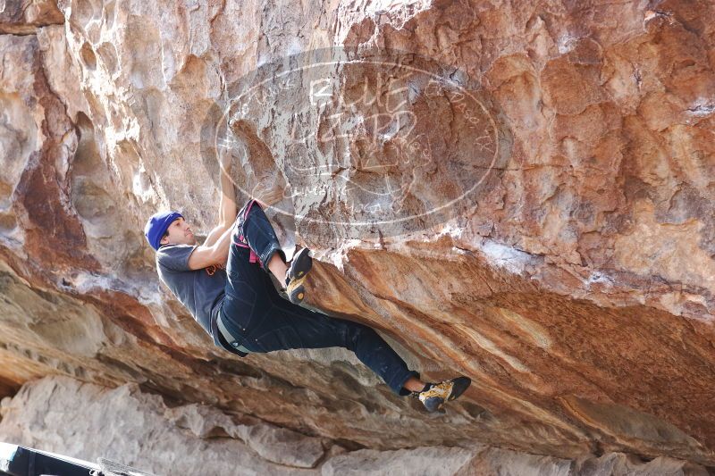 

Filename: SRM_20170103_1530490.jpg
Aperture: f/3.5
Shutter Speed: 1/320
Body: Canon EOS-1D Mark II
Lens: Canon EF 85mm f/1.2 L II