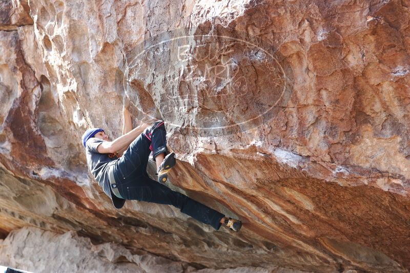 

Filename: SRM_20170103_1530500.jpg
Aperture: f/3.5
Shutter Speed: 1/320
Body: Canon EOS-1D Mark II
Lens: Canon EF 85mm f/1.2 L II