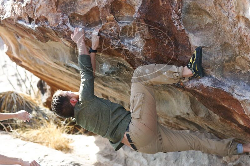 

Filename: SRM_20170103_1535351.jpg
Aperture: f/3.5
Shutter Speed: 1/500
Body: Canon EOS-1D Mark II
Lens: Canon EF 85mm f/1.2 L II