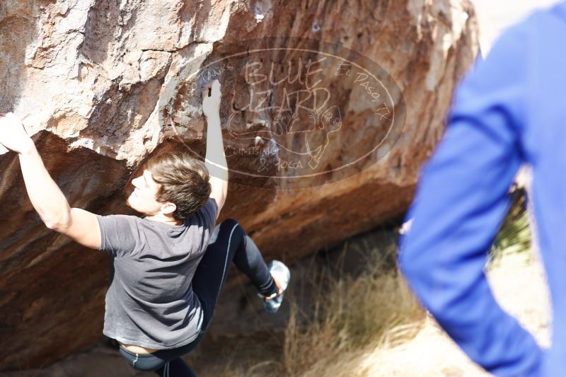 

Filename: SRM_20170103_1536550.jpg
Aperture: f/3.5
Shutter Speed: 1/800
Body: Canon EOS-1D Mark II
Lens: Canon EF 85mm f/1.2 L II