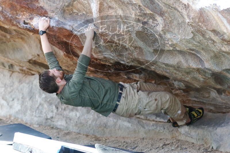 

Filename: SRM_20170103_1537580.jpg
Aperture: f/3.2
Shutter Speed: 1/320
Body: Canon EOS-1D Mark II
Lens: Canon EF 85mm f/1.2 L II