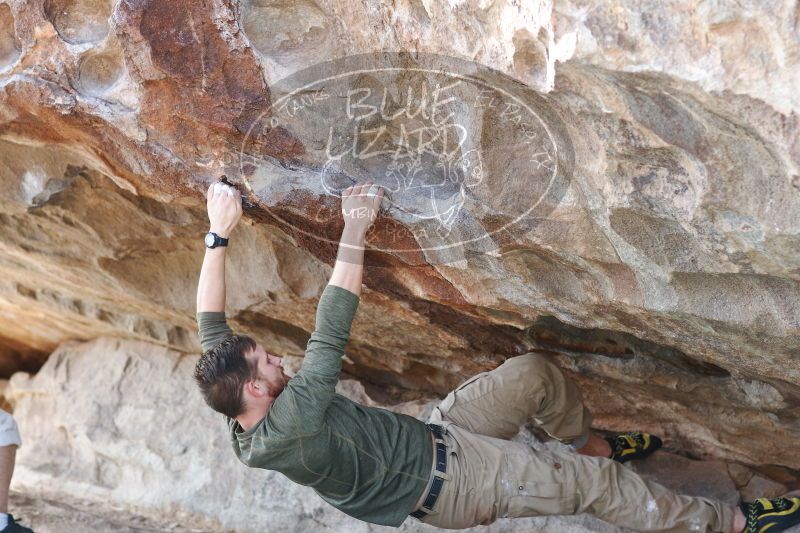 

Filename: SRM_20170103_1538030.jpg
Aperture: f/3.2
Shutter Speed: 1/320
Body: Canon EOS-1D Mark II
Lens: Canon EF 85mm f/1.2 L II