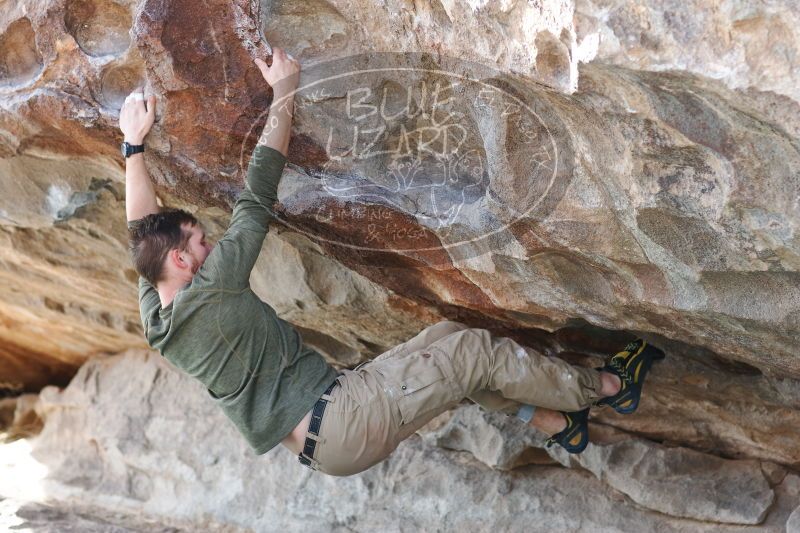 

Filename: SRM_20170103_1538111.jpg
Aperture: f/3.2
Shutter Speed: 1/400
Body: Canon EOS-1D Mark II
Lens: Canon EF 85mm f/1.2 L II