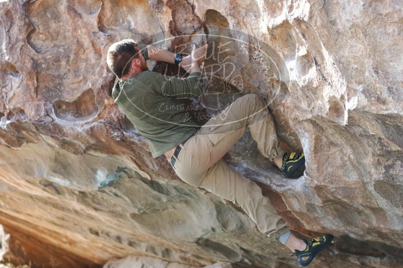 

Filename: SRM_20170103_1538230.jpg
Aperture: f/3.2
Shutter Speed: 1/500
Body: Canon EOS-1D Mark II
Lens: Canon EF 85mm f/1.2 L II