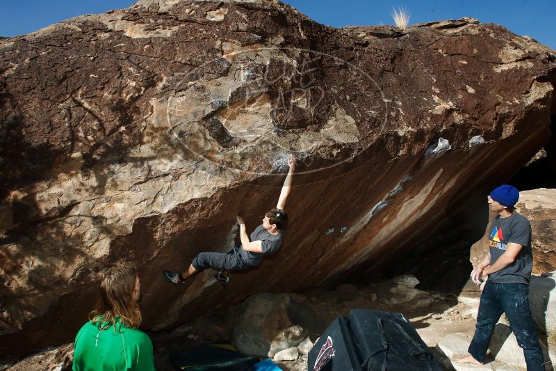 

Filename: SRM_20170103_1636210.jpg
Aperture: f/9.0
Shutter Speed: 1/250
Body: Canon EOS-1D Mark II
Lens: Canon EF 16-35mm f/2.8 L