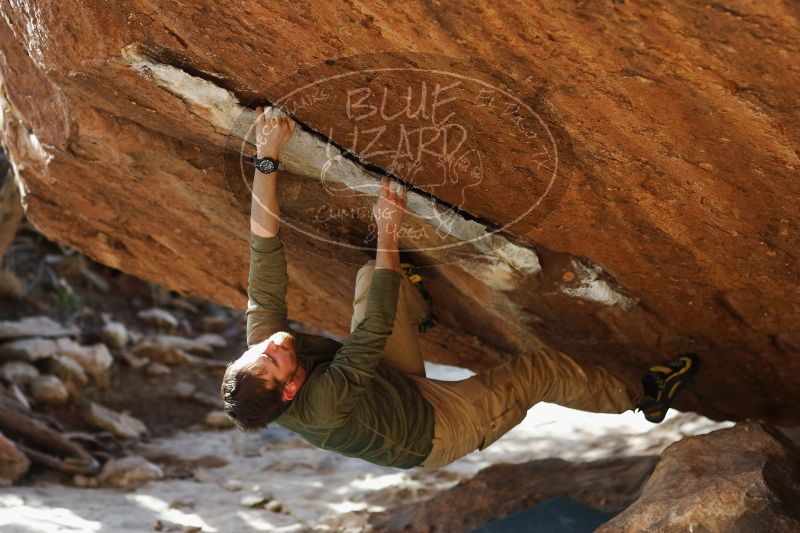 

Filename: SRM_20170103_1704331.jpg
Aperture: f/2.8
Shutter Speed: 1/500
Body: Canon EOS-1D Mark II
Lens: Canon EF 85mm f/1.2 L II