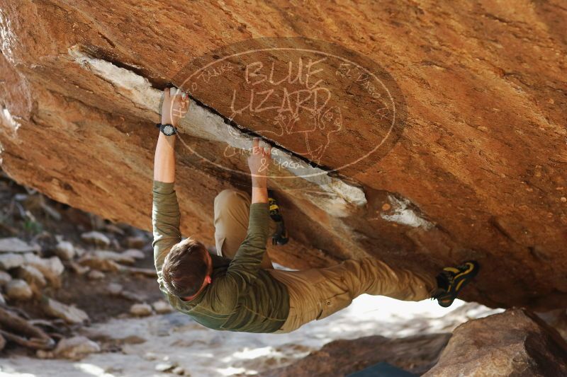 

Filename: SRM_20170103_1704342.jpg
Aperture: f/2.8
Shutter Speed: 1/400
Body: Canon EOS-1D Mark II
Lens: Canon EF 85mm f/1.2 L II