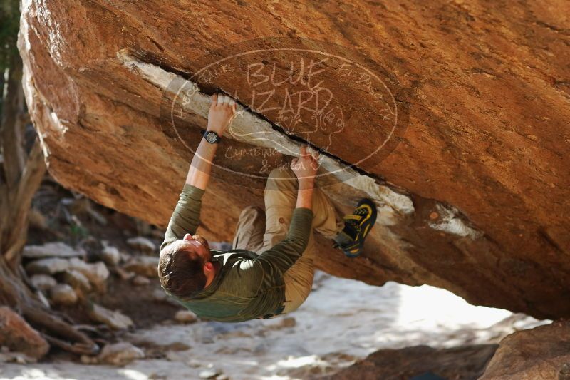 

Filename: SRM_20170103_1704361.jpg
Aperture: f/2.8
Shutter Speed: 1/500
Body: Canon EOS-1D Mark II
Lens: Canon EF 85mm f/1.2 L II