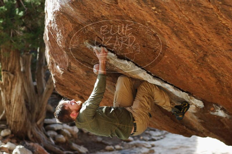 

Filename: SRM_20170103_1704400.jpg
Aperture: f/2.8
Shutter Speed: 1/500
Body: Canon EOS-1D Mark II
Lens: Canon EF 85mm f/1.2 L II