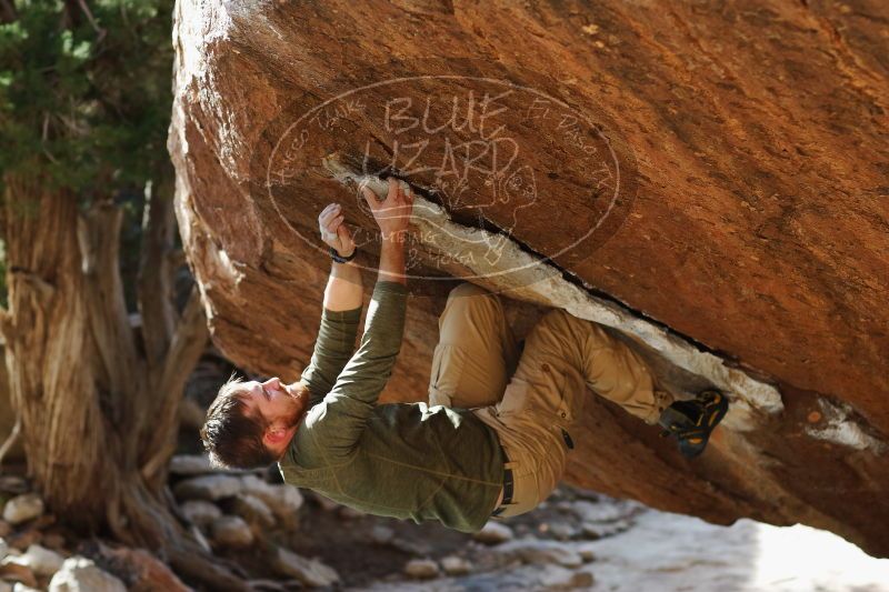 

Filename: SRM_20170103_1704401.jpg
Aperture: f/2.8
Shutter Speed: 1/640
Body: Canon EOS-1D Mark II
Lens: Canon EF 85mm f/1.2 L II