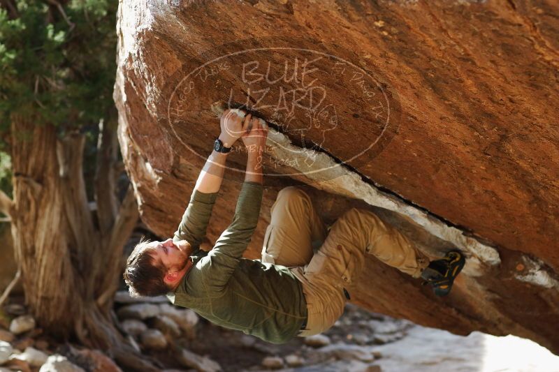 

Filename: SRM_20170103_1704411.jpg
Aperture: f/2.8
Shutter Speed: 1/640
Body: Canon EOS-1D Mark II
Lens: Canon EF 85mm f/1.2 L II