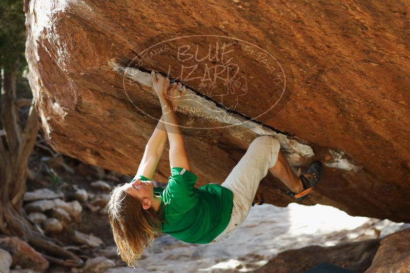 

Filename: SRM_20170103_1708261.jpg
Aperture: f/2.8
Shutter Speed: 1/500
Body: Canon EOS-1D Mark II
Lens: Canon EF 85mm f/1.2 L II