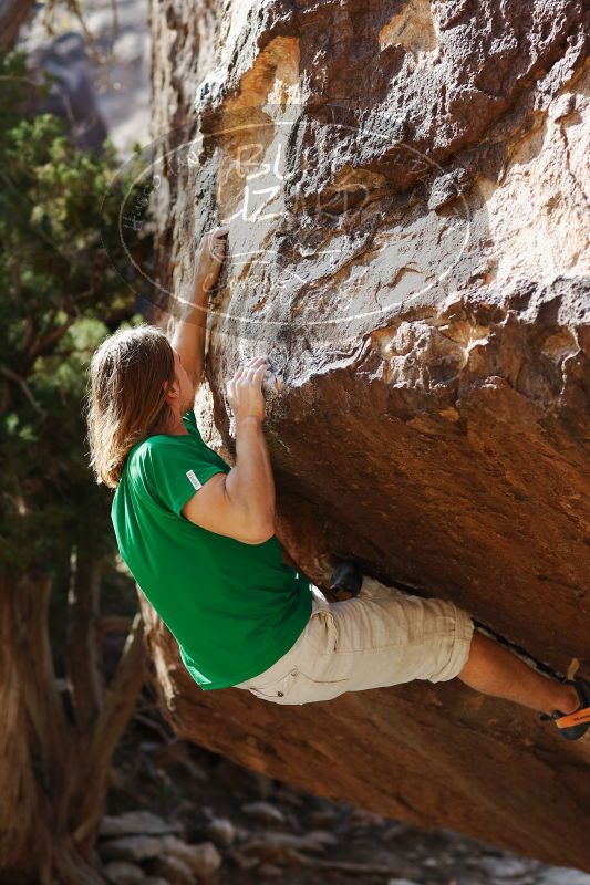 

Filename: SRM_20170103_1708570.jpg
Aperture: f/2.8
Shutter Speed: 1/800
Body: Canon EOS-1D Mark II
Lens: Canon EF 85mm f/1.2 L II