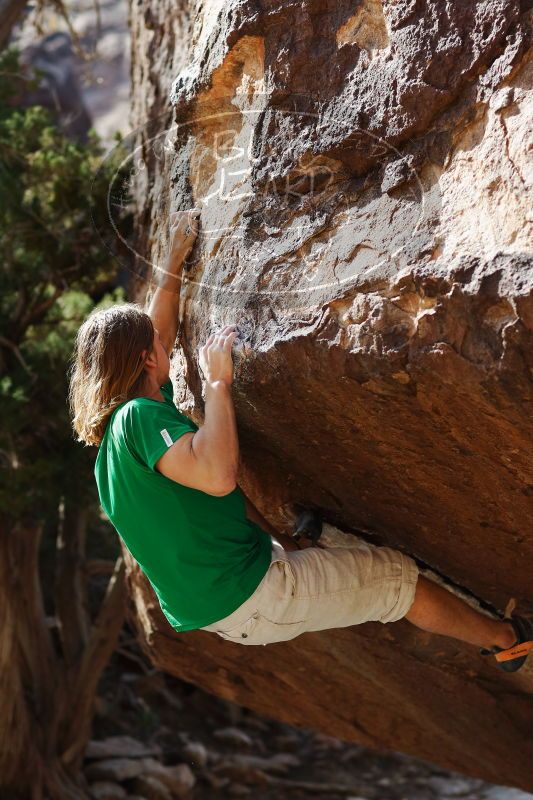 

Filename: SRM_20170103_1708571.jpg
Aperture: f/2.8
Shutter Speed: 1/1000
Body: Canon EOS-1D Mark II
Lens: Canon EF 85mm f/1.2 L II