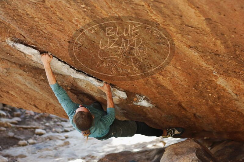 

Filename: SRM_20170103_1710101.jpg
Aperture: f/2.8
Shutter Speed: 1/320
Body: Canon EOS-1D Mark II
Lens: Canon EF 85mm f/1.2 L II