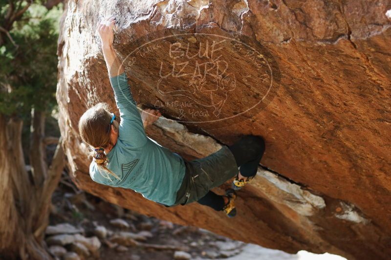 

Filename: SRM_20170103_1710241.jpg
Aperture: f/2.8
Shutter Speed: 1/500
Body: Canon EOS-1D Mark II
Lens: Canon EF 85mm f/1.2 L II