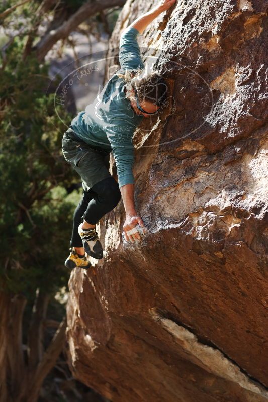 

Filename: SRM_20170103_1710411.jpg
Aperture: f/2.8
Shutter Speed: 1/1600
Body: Canon EOS-1D Mark II
Lens: Canon EF 85mm f/1.2 L II