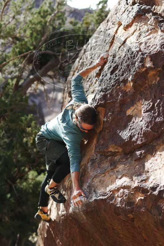 

Filename: SRM_20170103_1710430.jpg
Aperture: f/2.8
Shutter Speed: 1/1600
Body: Canon EOS-1D Mark II
Lens: Canon EF 85mm f/1.2 L II