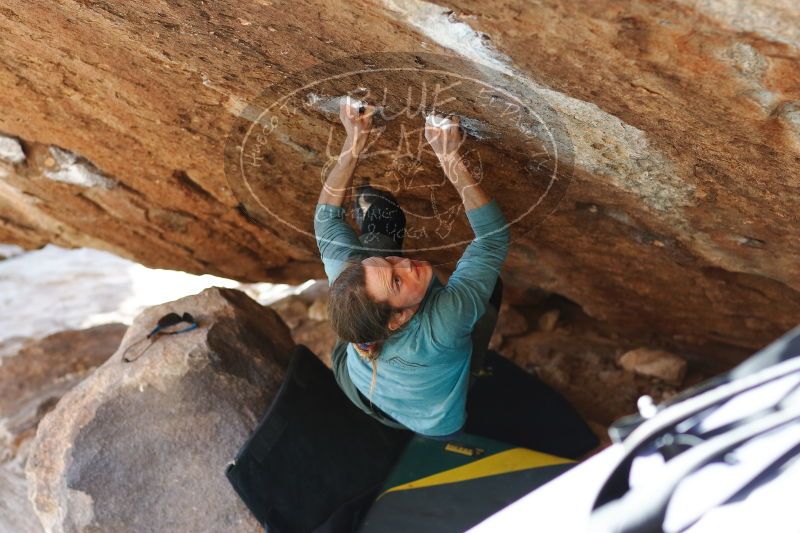 

Filename: SRM_20170103_1722150.jpg
Aperture: f/2.8
Shutter Speed: 1/320
Body: Canon EOS-1D Mark II
Lens: Canon EF 85mm f/1.2 L II