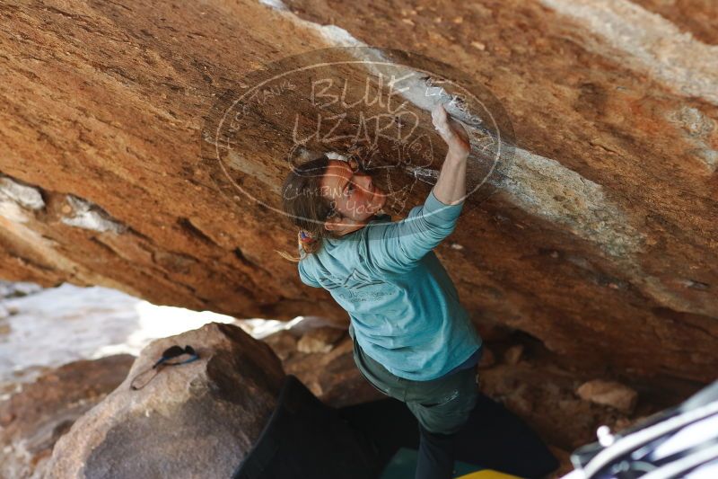 

Filename: SRM_20170103_1722161.jpg
Aperture: f/2.8
Shutter Speed: 1/400
Body: Canon EOS-1D Mark II
Lens: Canon EF 85mm f/1.2 L II