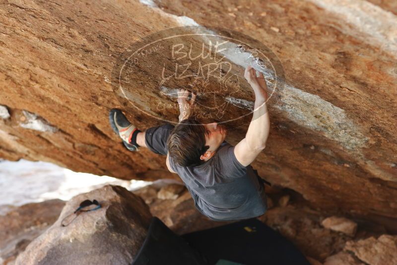 

Filename: SRM_20170103_1724281.jpg
Aperture: f/2.8
Shutter Speed: 1/320
Body: Canon EOS-1D Mark II
Lens: Canon EF 85mm f/1.2 L II