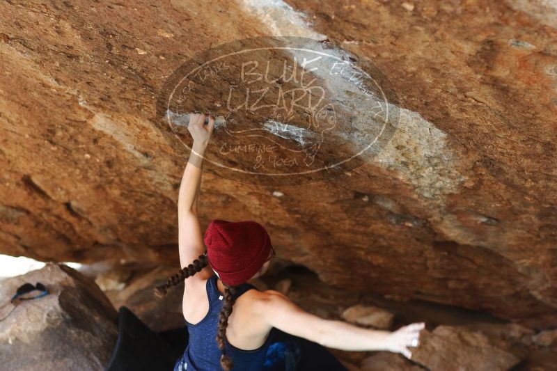 

Filename: SRM_20170103_1729270.jpg
Aperture: f/2.8
Shutter Speed: 1/320
Body: Canon EOS-1D Mark II
Lens: Canon EF 85mm f/1.2 L II