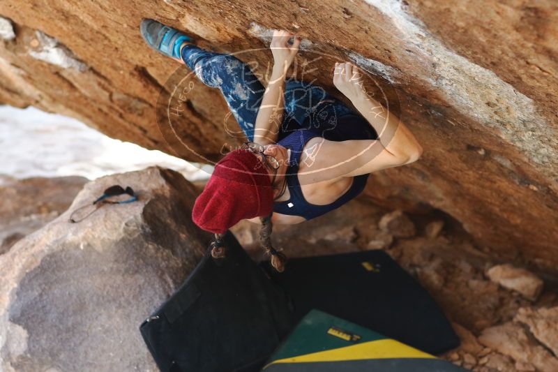 

Filename: SRM_20170103_1730041.jpg
Aperture: f/2.8
Shutter Speed: 1/250
Body: Canon EOS-1D Mark II
Lens: Canon EF 85mm f/1.2 L II