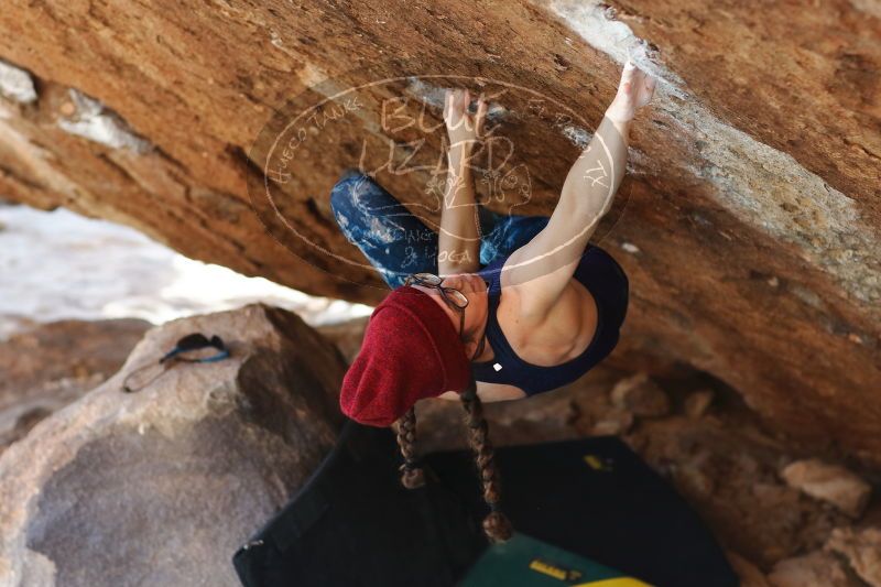 

Filename: SRM_20170103_1730044.jpg
Aperture: f/2.8
Shutter Speed: 1/320
Body: Canon EOS-1D Mark II
Lens: Canon EF 85mm f/1.2 L II