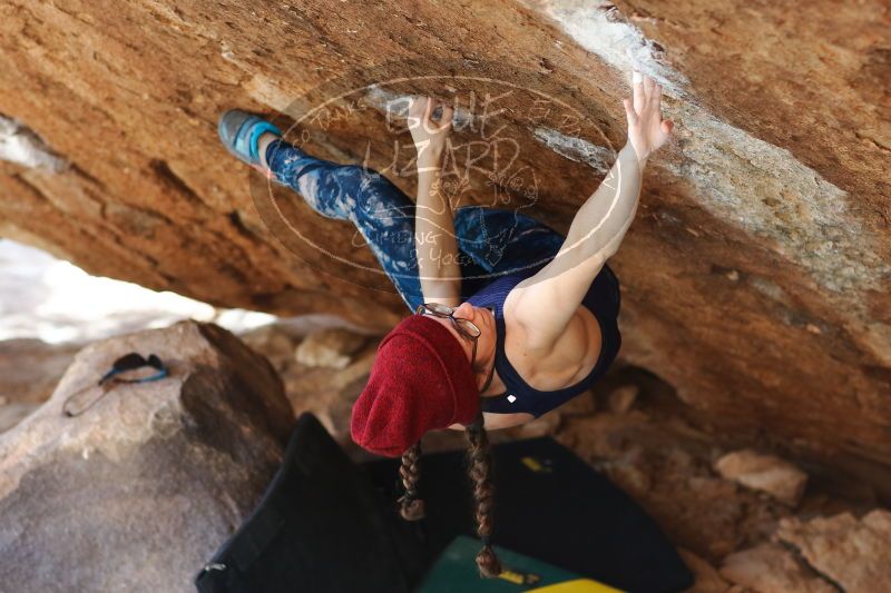 

Filename: SRM_20170103_1730372.jpg
Aperture: f/2.8
Shutter Speed: 1/320
Body: Canon EOS-1D Mark II
Lens: Canon EF 85mm f/1.2 L II