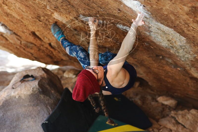 

Filename: SRM_20170103_1730373.jpg
Aperture: f/2.8
Shutter Speed: 1/320
Body: Canon EOS-1D Mark II
Lens: Canon EF 85mm f/1.2 L II