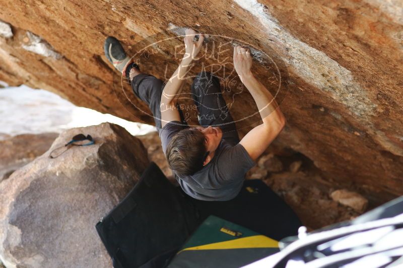 

Filename: SRM_20170103_1734590.jpg
Aperture: f/2.8
Shutter Speed: 1/320
Body: Canon EOS-1D Mark II
Lens: Canon EF 85mm f/1.2 L II