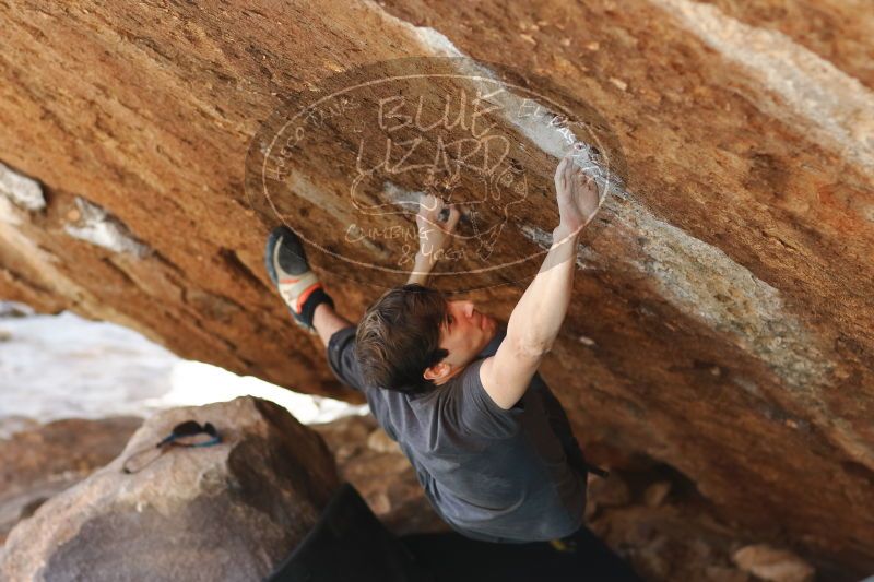 

Filename: SRM_20170103_1735003.jpg
Aperture: f/2.8
Shutter Speed: 1/320
Body: Canon EOS-1D Mark II
Lens: Canon EF 85mm f/1.2 L II