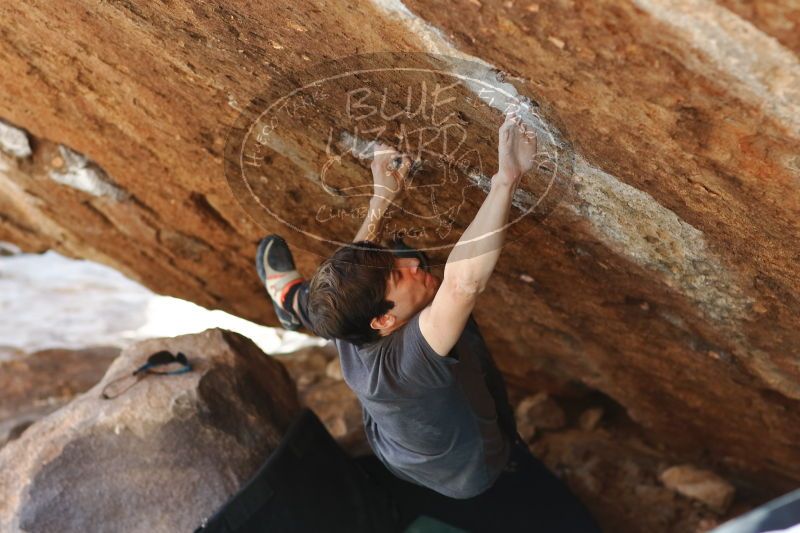 

Filename: SRM_20170103_1735004.jpg
Aperture: f/2.8
Shutter Speed: 1/400
Body: Canon EOS-1D Mark II
Lens: Canon EF 85mm f/1.2 L II