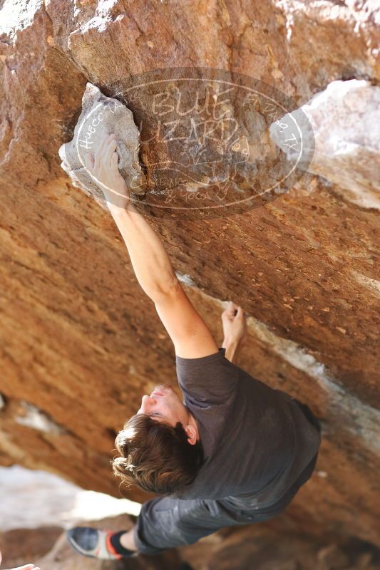 

Filename: SRM_20170103_1735443.jpg
Aperture: f/2.8
Shutter Speed: 1/400
Body: Canon EOS-1D Mark II
Lens: Canon EF 85mm f/1.2 L II