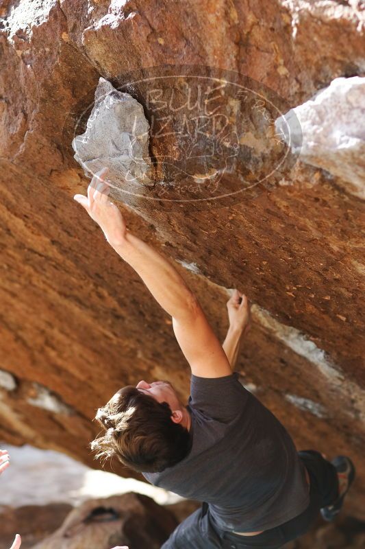 

Filename: SRM_20170103_1735445.jpg
Aperture: f/2.8
Shutter Speed: 1/500
Body: Canon EOS-1D Mark II
Lens: Canon EF 85mm f/1.2 L II